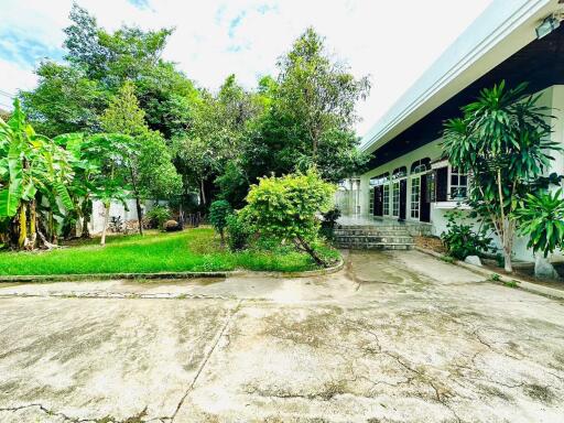 Exterior view with lush greenery and building facade