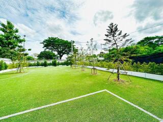 Lush green outdoor sports court
