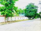 Street view with trees and a wall