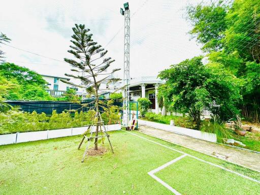 Outdoor garden area with greenery