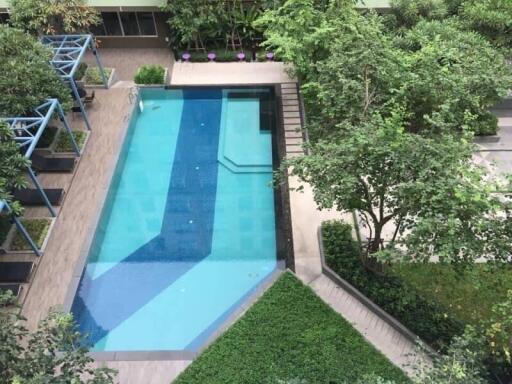 Aerial View of Outdoor Swimming Pool