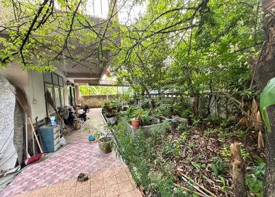 Outdoor garden and patio