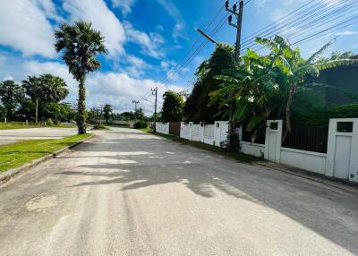 Street view with palm trees and residential fencing