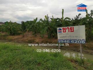 Outdoor land with for sale sign and contact information