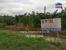 Outdoor land with for sale sign and contact information