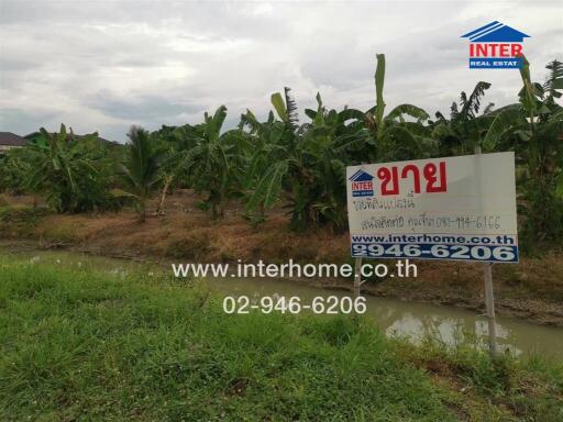 Outdoor land with for sale sign and contact information