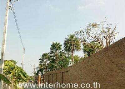 Street view with a brick wall and palm trees