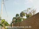 Street view with a brick wall and palm trees