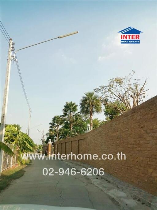 Street view with a brick wall and palm trees