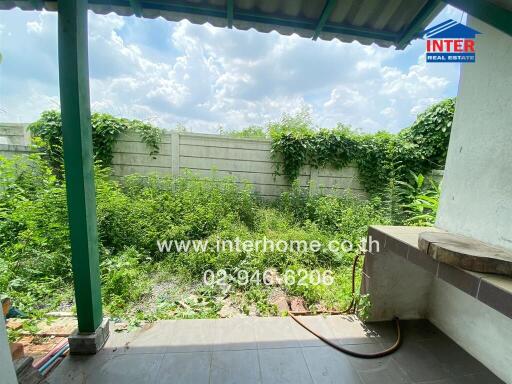 Outdoor garden with greenery and fence