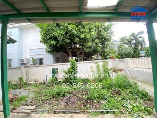 garden area with greenery and trees