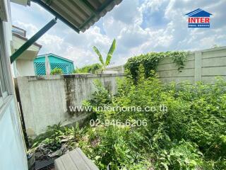 Overgrown backyard with garden and high walls