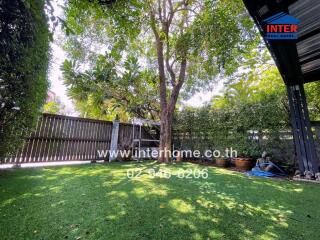 Lush garden with greenery and a large tree