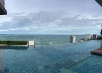 Rooftop infinity pool with ocean view