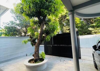 Outdoor area with tree and carport