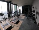 Modern fitness center with city view