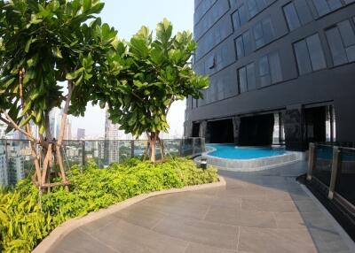 Rooftop pool area with city view and plants