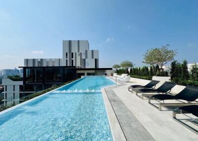 Rooftop infinity pool with sun loungers and city view