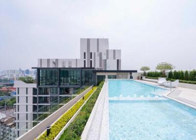 Rooftop swimming pool with city view