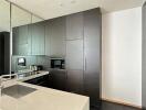 Modern kitchen with dark cabinets and built-in appliances