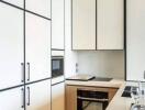 Modern kitchen with white cabinetry