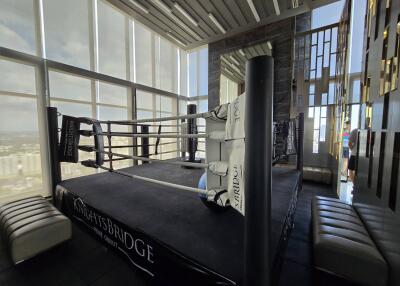 Modern indoor boxing ring with panoramic city views