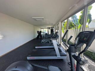 modern indoor gym with multiple treadmills and exercise equipment