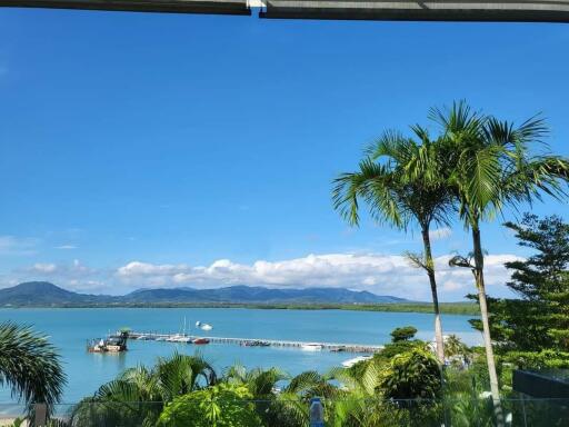 Scenic view of a waterfront with palm trees and mountains in the background