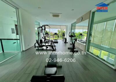Modern gym with various exercise equipment and large windows with natural light