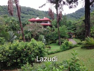 A Property Of  6,196 Square Meters with 2 Houses Near  Karon Beach