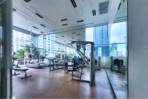 For Rent Penthouse unit  4 Bedrooms - Only 1 unit per floor - Pet friendly - in Phrom Phong