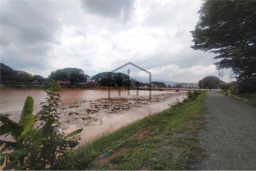 คอนโดให้เช่า หนองหอย เชียงใหม่ ทำเลดีมีครบทุกอย่าง