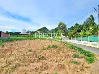 Land for sale in Sattahip PP10575