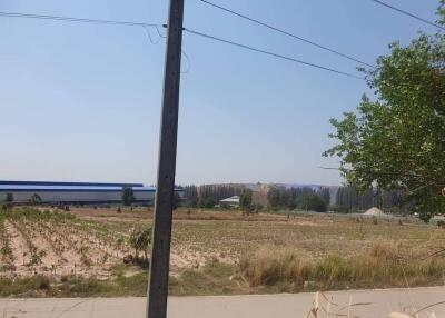 View of open field with power lines