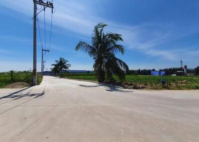 View of Road Leading to Property