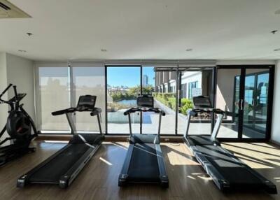 Modern gym with treadmills and elliptical in a well-lit room overlooking a courtyard