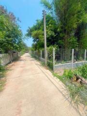 Outdoor view of a pathway with greenery