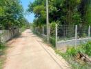 Outdoor view of a pathway with greenery