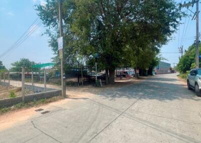 Street view with a large tree and parked cars