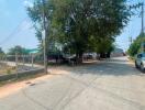 Street view with a large tree and parked cars