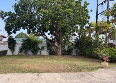 Spacious backyard with large tree and surrounding greenery