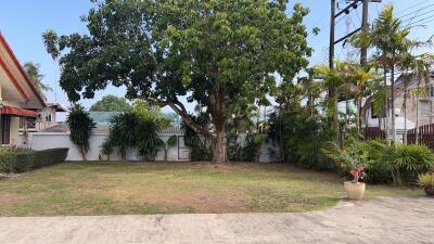 Spacious backyard with large tree and surrounding greenery