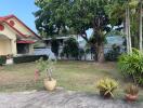 Front yard of a house with trees and potted plants