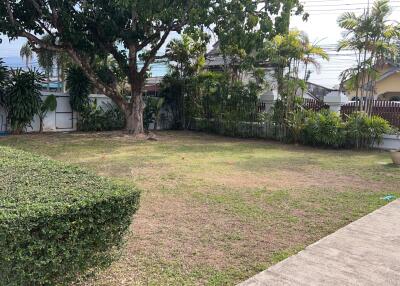 Well-maintained backyard with lawn, trees, and hedges