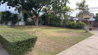 Well-maintained backyard with lawn, trees, and hedges