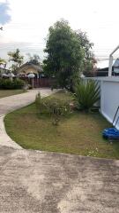 View of the yard with a pathway, plants, and a tree.