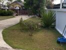 View of the yard with a pathway, plants, and a tree.