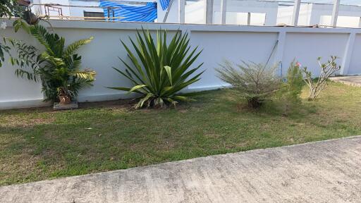 Outdoor garden area with various plants and a walkway