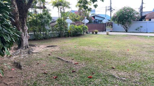 Spacious garden area with lawn and trees