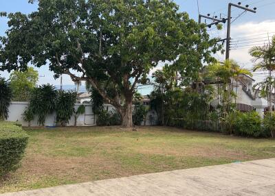 Spacious backyard with a large tree and manicured lawn